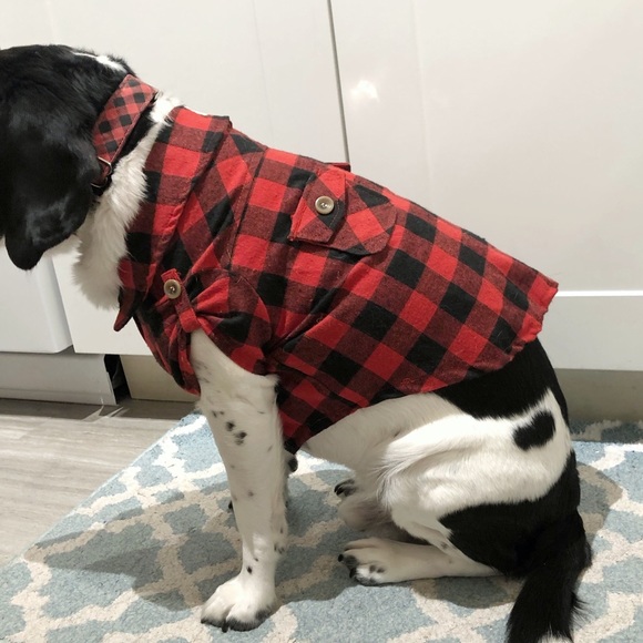 Dog Shirt: CANADIANA Buffalo plaid flannel shirt - size ‘Large’ - Picture 9 of 16